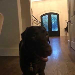 Meet your Posher, Audrey